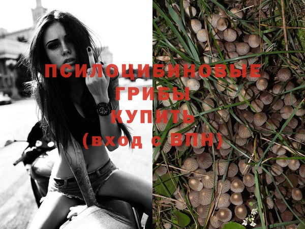 стафф Абинск